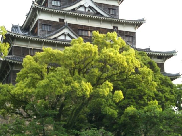 広島城遊覧船