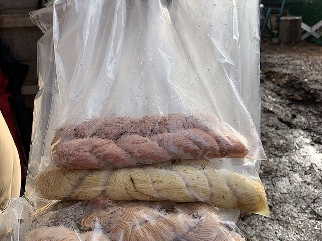 草木染め体験(材料持込可、事前予約不要)_杉乃精