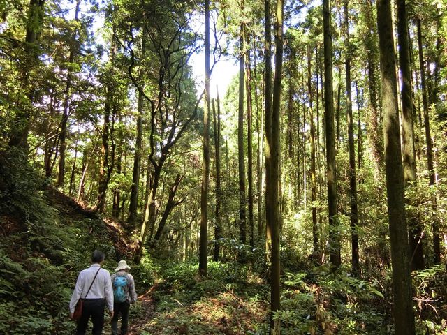 鹿野山古道_鹿野山自然学校