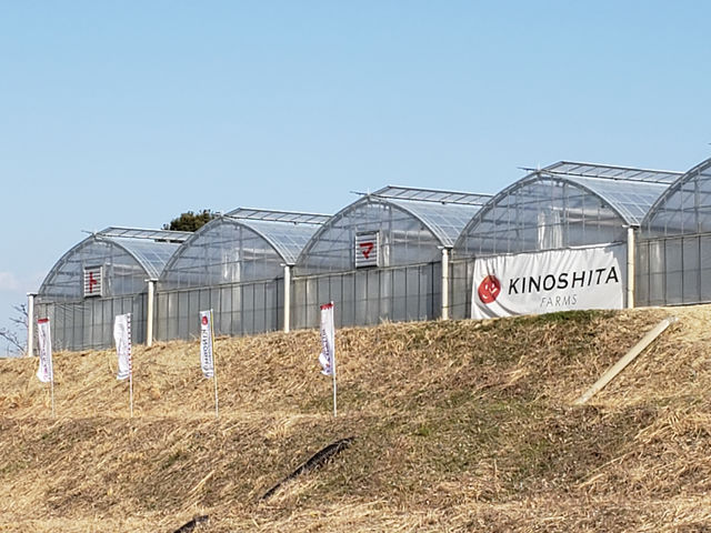 道の駅山愛の里から見えるハウスです!_キノシタファーム