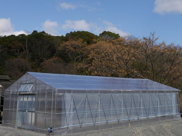 ご近所の方もふらりと訪れる温室で、気軽に苔玉づくりを体験できます。
_倉敷グリーンファーム