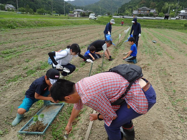 黒豆の植え付け体験「秋の収穫が楽しみだ」_たんばJUNちゃん農園