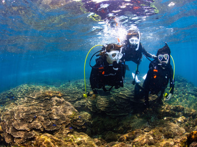 ☆体験はインストラクターが安全にサポート致します☆_ARK Diving Shop 串本店