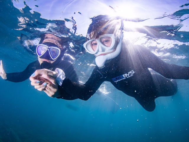 カップルやお友達でもご参加ください_ARK Diving Shop 串本店