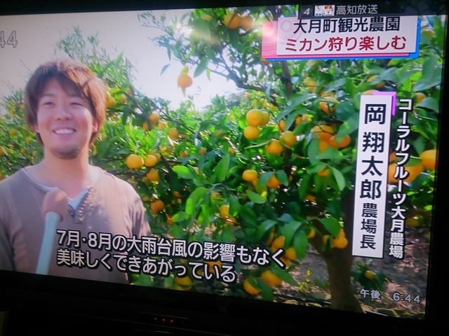 今年も「美味しい〜よ」_コーラルフルーツ大月農場