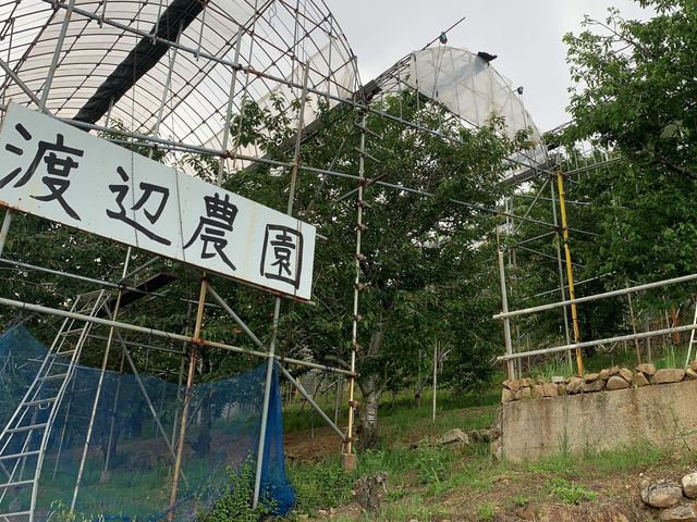 渡辺農園_渡辺農園