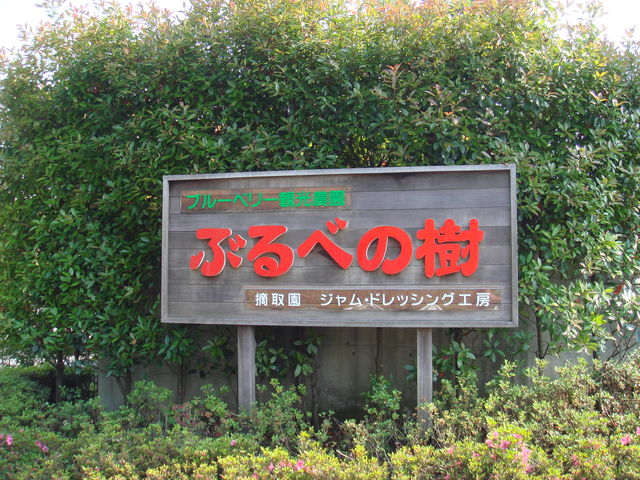 ぶるべの樹
