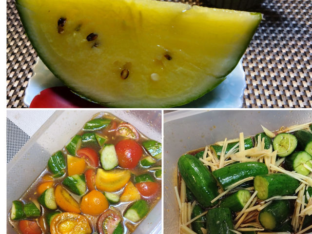 夏野菜の加工漬け
_ゲストハウス繋ぐ (Yaibei Cooking)
