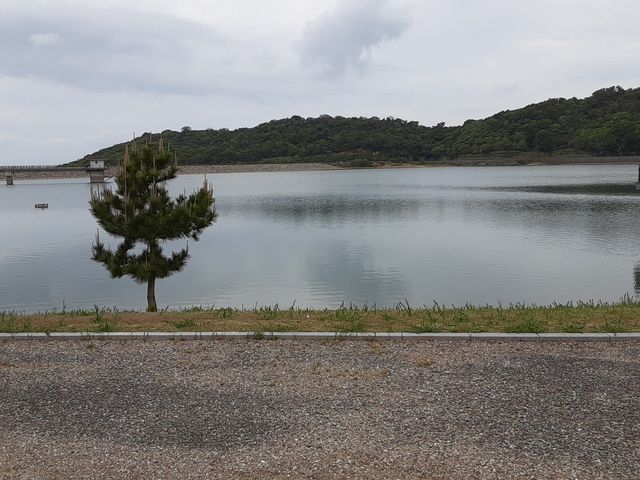 初立池公園