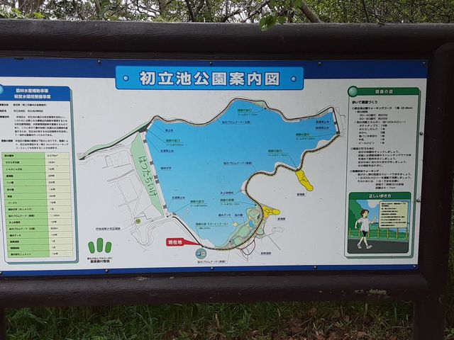 初立池公園