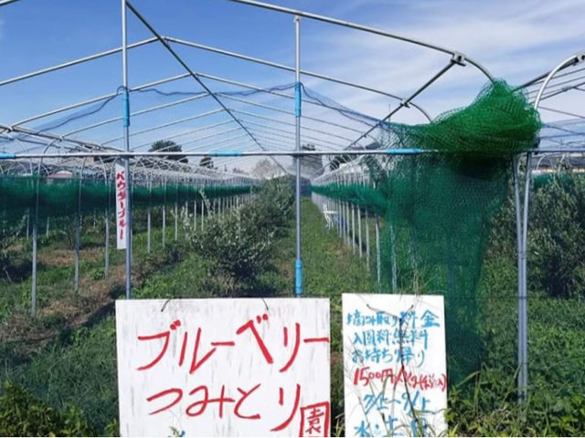 増田ファーム