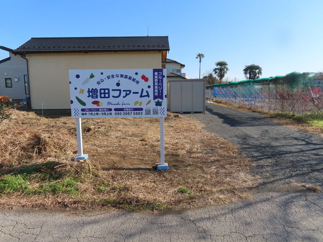 増田ファーム