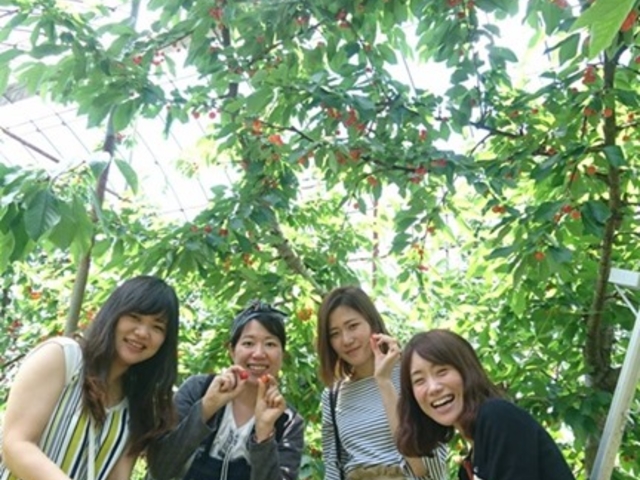 小野大正園