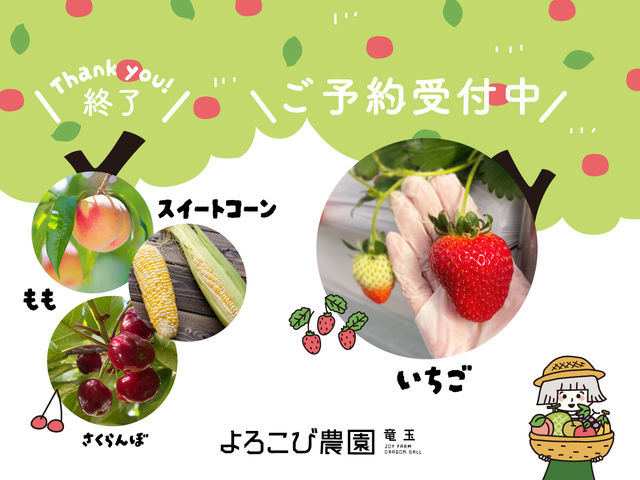 いちご狩りご予約受付中♪_よろこび農園竜玉