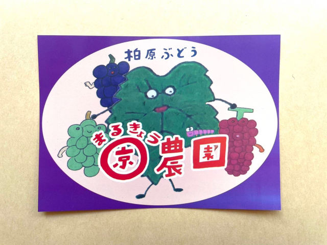 こちらはまるきょう農園のレッテル(チラシみたいなかんじ)です
当園の目印になったらいいなあと思っています
_〇京農園(柏原市観光ぶどうセンター横尾支部)