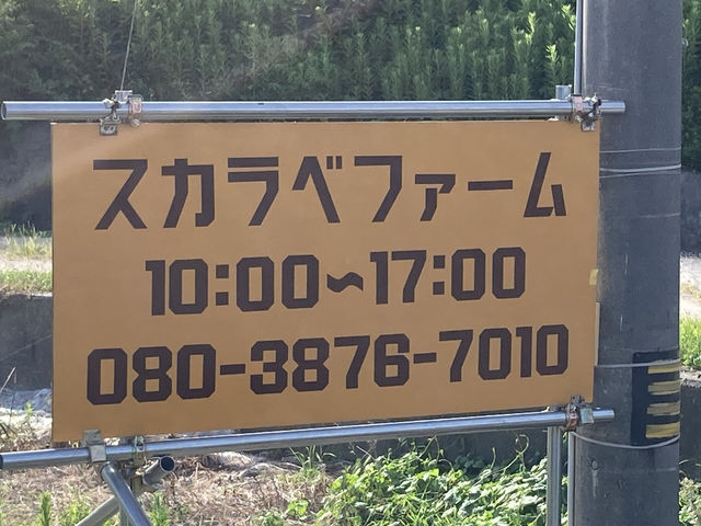 スカラベファームの看板_スカラベファーム