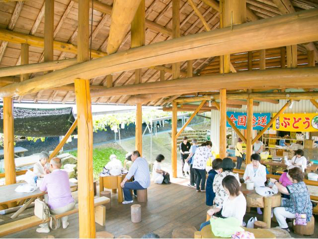 有田巨峰村 まる太農園