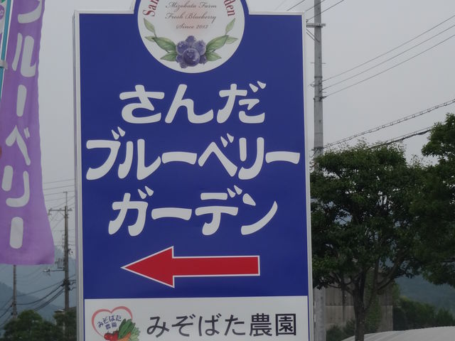 さんだブルーベリーガーデン