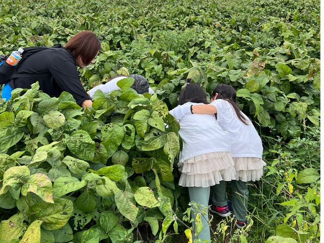 お子様連れのご家族_丹波ふるさと村