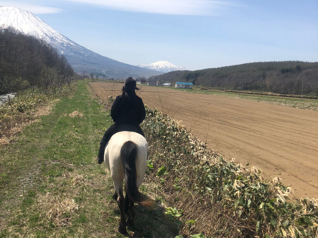 Horse back country