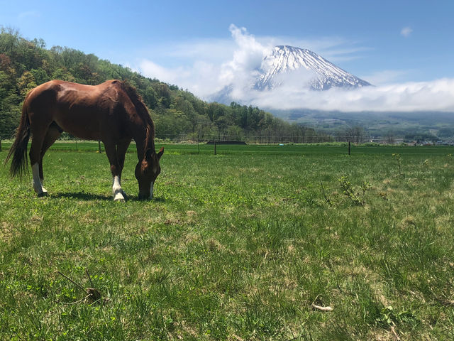 Horse back country