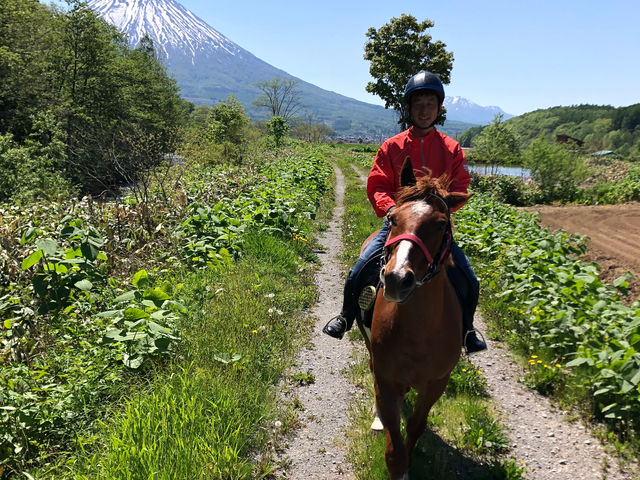 Horse back country