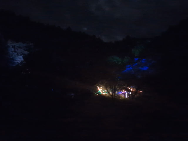 森の中にあります_ハニーガーデン瑞梅寺