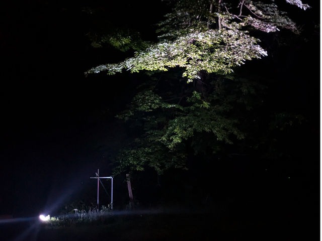 ライトアップもたまにおこないます。_ハニーガーデン瑞梅寺