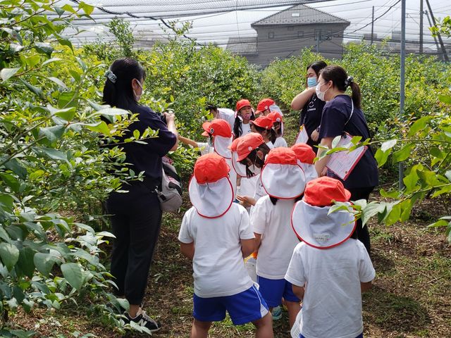 園児が来園中_ベリーズファーム