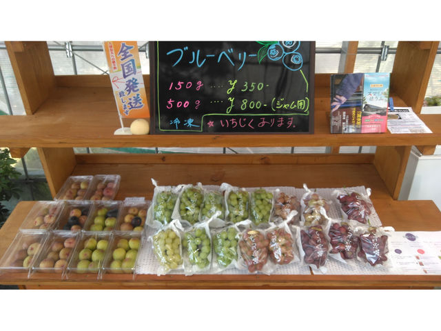 とのみ観光農園
