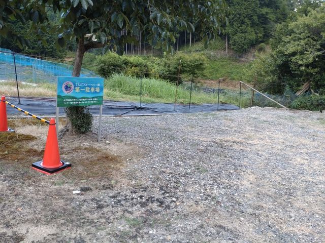うえだブルーベリー畑