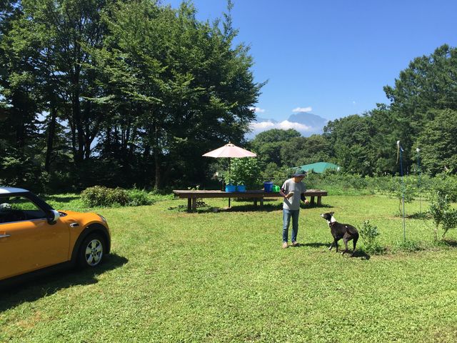ガレージ前で_Nicolo Vineyard & Berry Garden