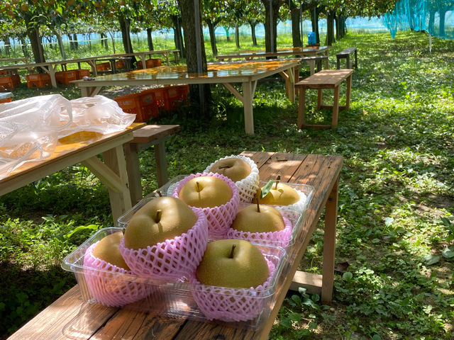 清水果樹園