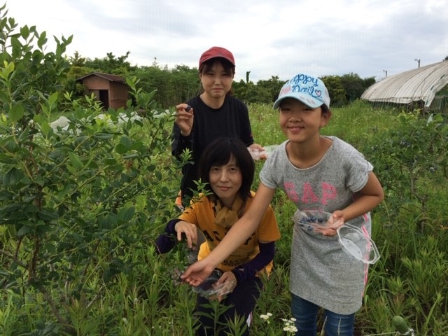 山下ナチュラ農園