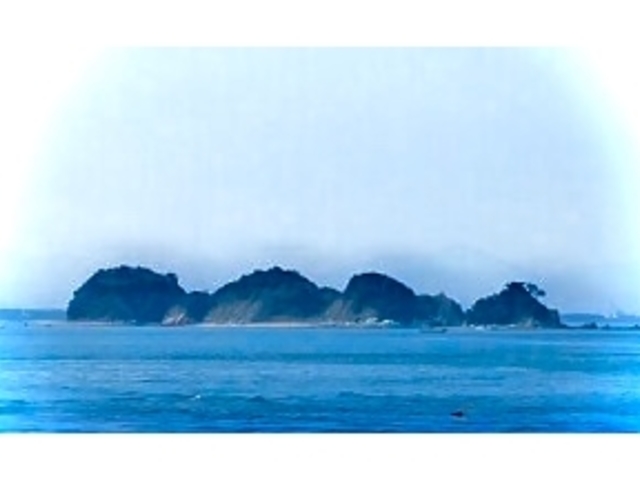 飛島_王将マリン