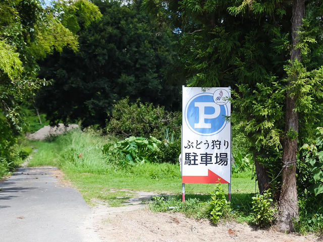 阿知波ぶどう園