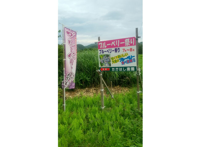 たかはし農園