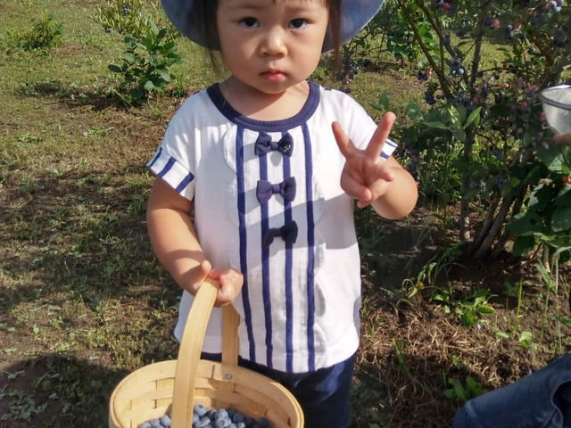 下野ブルーベリーファーム