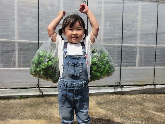 こんなにたくさん
とったどぉ〜♪_株式会社東九農園