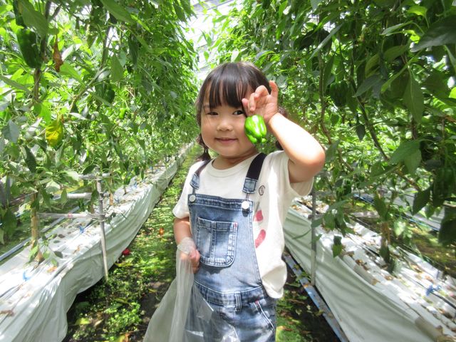 ピーマン食べれないけど、今日は食べれそうな気がするよ♪_株式会社東九農園