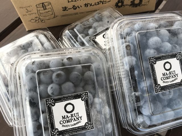 ブルーベリー畑 まーるいかんぱにー