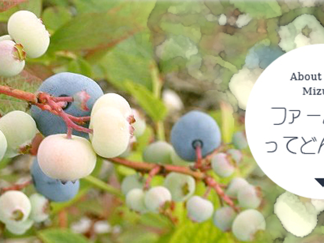 ファーム水野