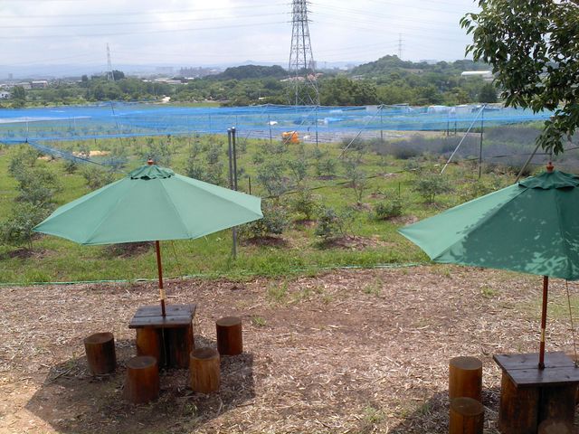 ファーム水野