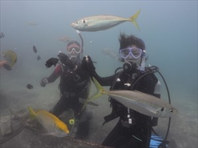 魚に囲まれる
体験ダイビング_DIVING ADVENTURE STUDIO 愛