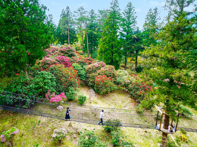 3月末から4月末にかけては園内に色々な花が咲き誇ります_空中の村