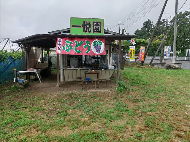 ぶどうの一悦園