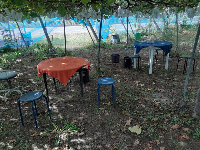 ぶどうの一悦園