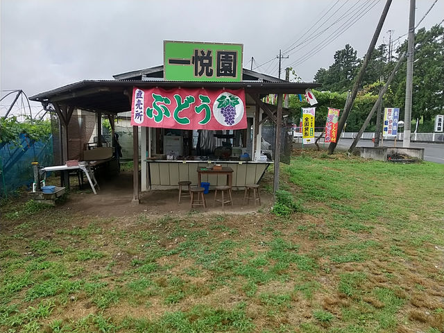ぶどうの一悦園
