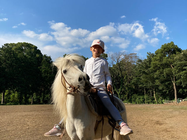 HORSE BASE