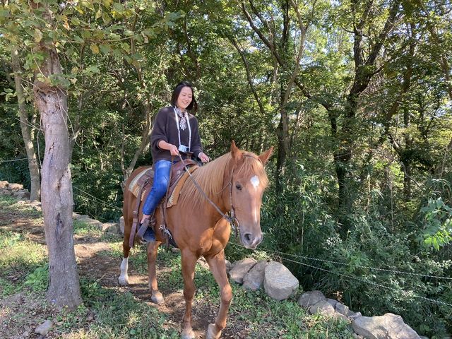 HORSE BASE